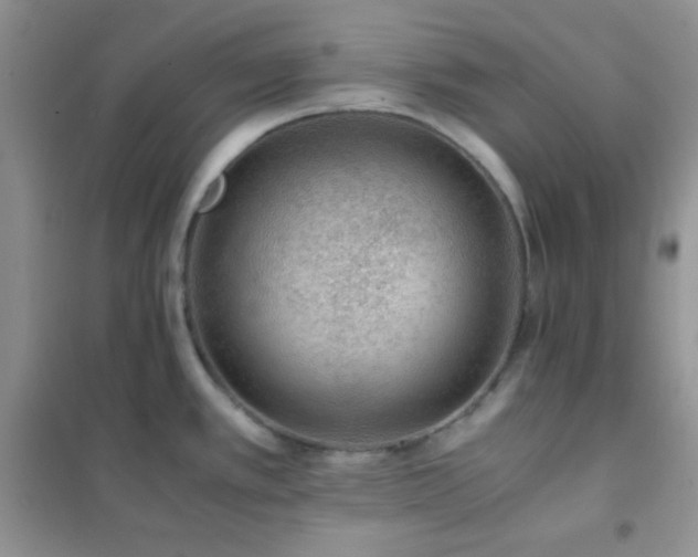 X0000102381389200808011527