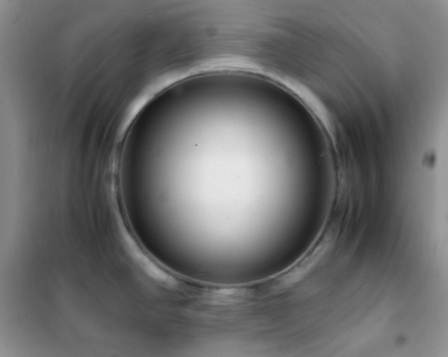 X0000102381390200808011526