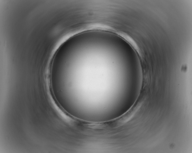 X0000102381391200808011526