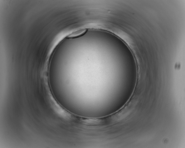 X0000102381392200808011526