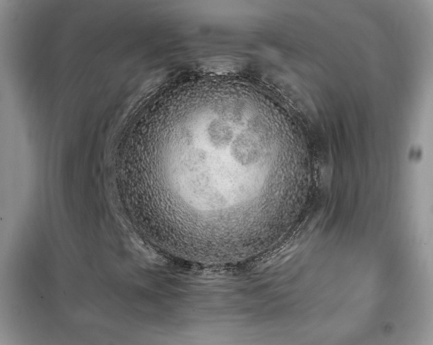 X0000102381393200808011526