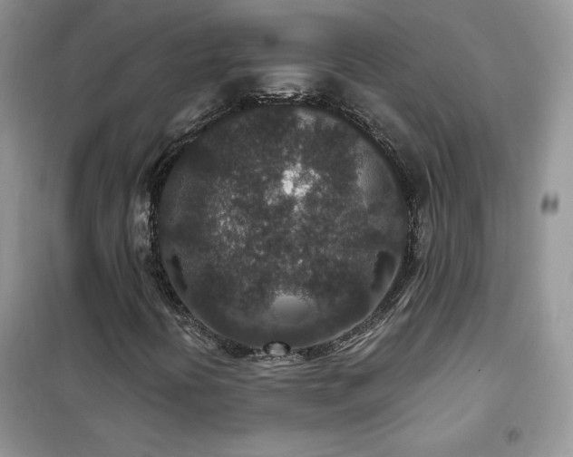 X0000102381394200808011526