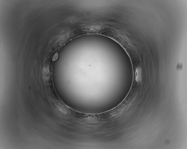 X0000102381395200808011526