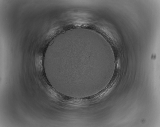 X0000102381396200808011526