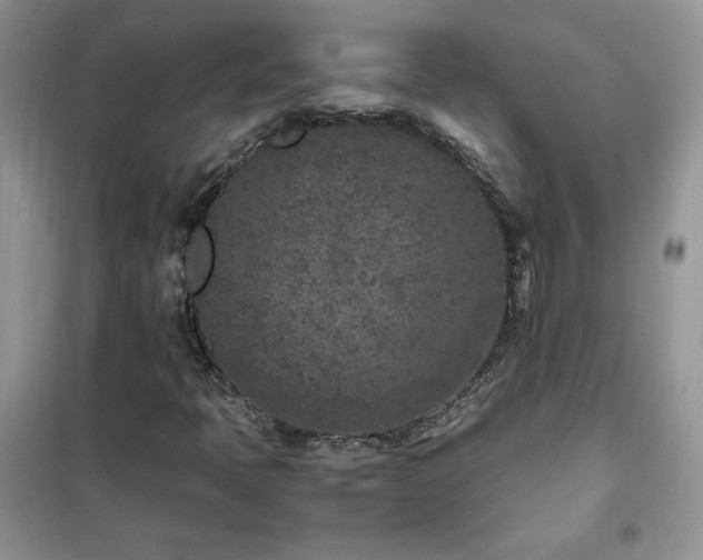 X0000102381397200808011526