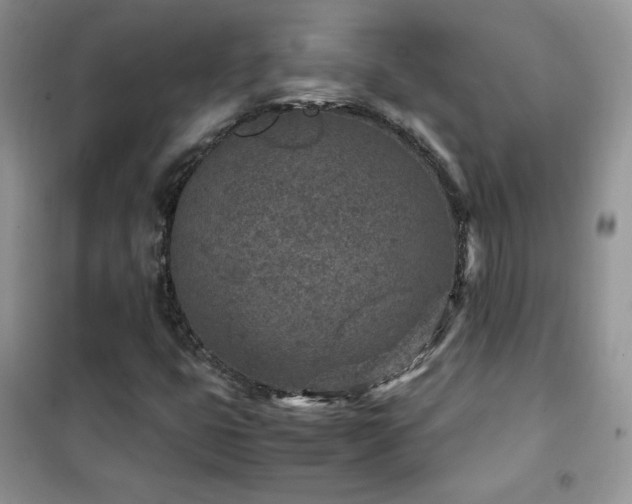 X0000102381399200808011526
