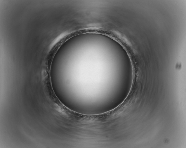 X0000102381400200808011526