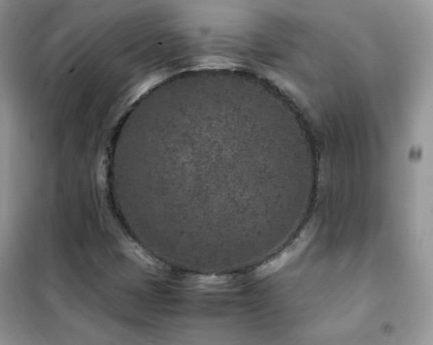 X0000102381401200808011526