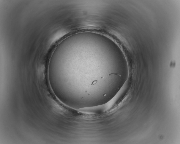 X0000102381402200808011526