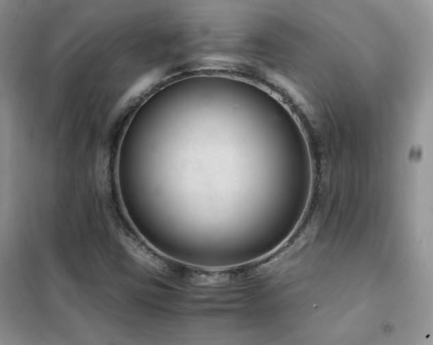X0000102381403200808011526