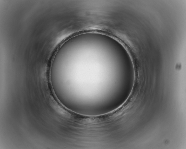 X0000102381404200808011526