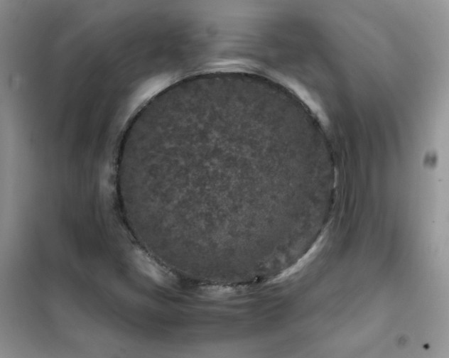 X0000102381405200808011526