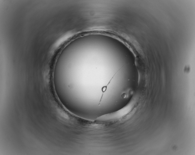 X0000102381406200808011526
