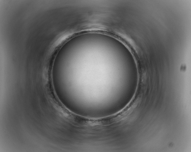 X0000102381407200808011526