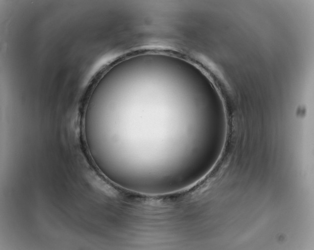 X0000102381408200808011526