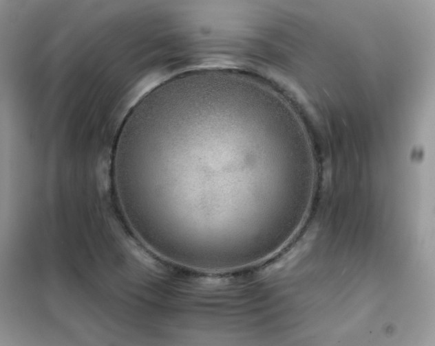 X0000102381409200808011526