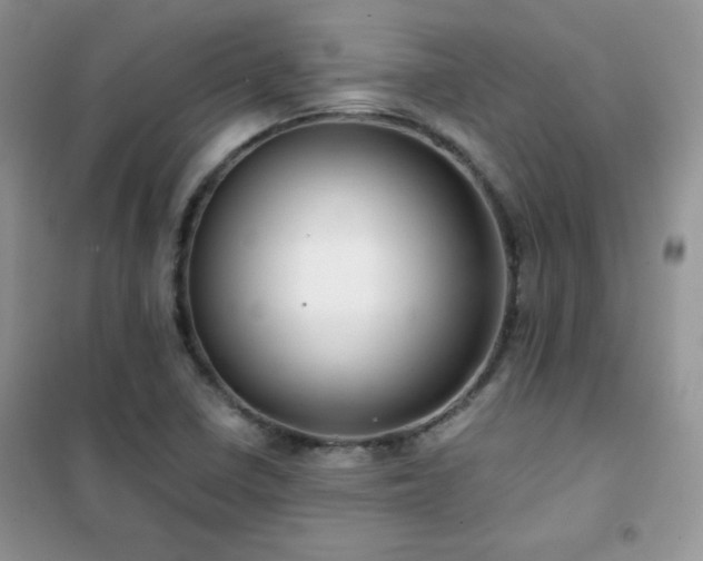 X0000102381410200808011526
