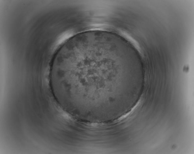 X0000102381411200808011526