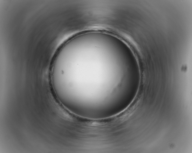 X0000102381412200808011526