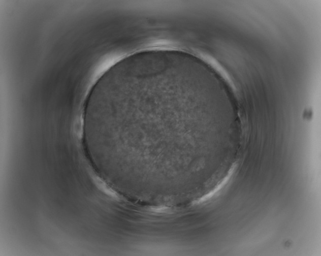 X0000102381413200808011526