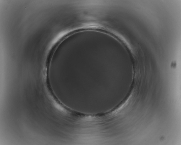 X0000102381414200808011526