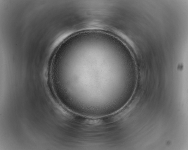 X0000102381415200808011526