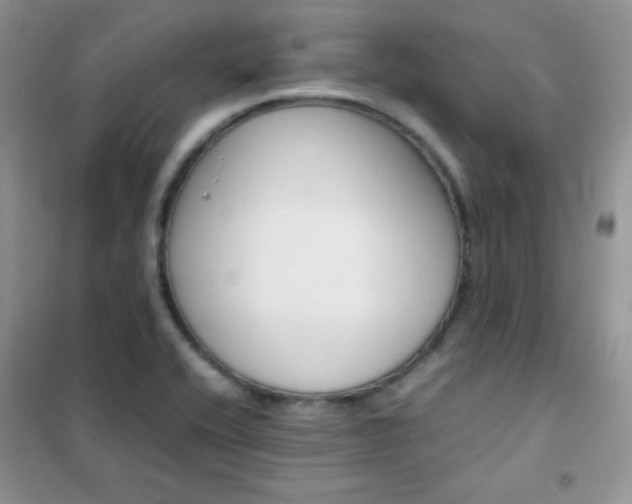 X0000102381416200808011526