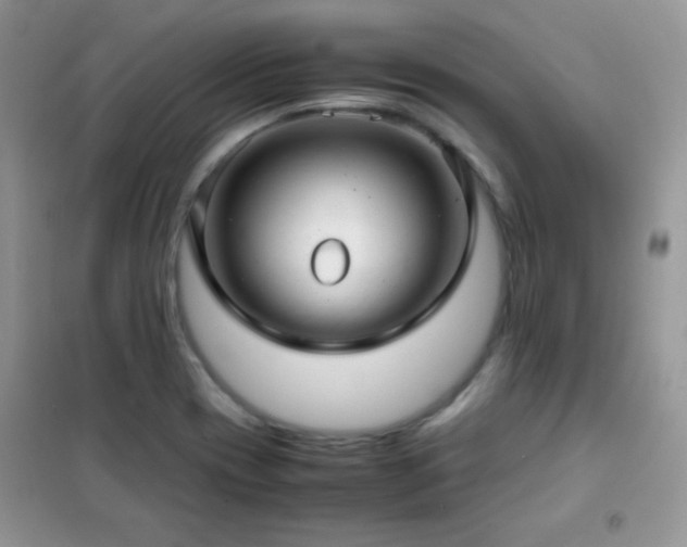 X0000102381417200808011526