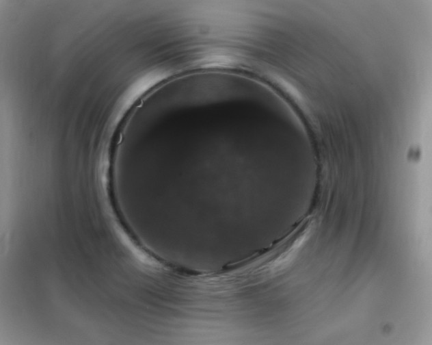 X0000102381418200808011526
