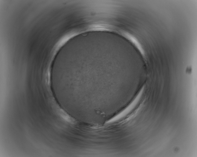 X0000102381419200808011526