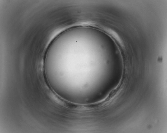 X0000102381420200808011526