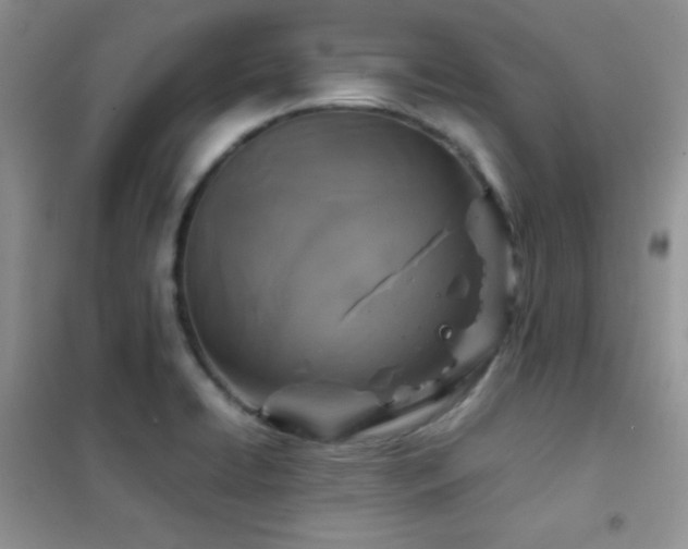 X0000102381422200808011526