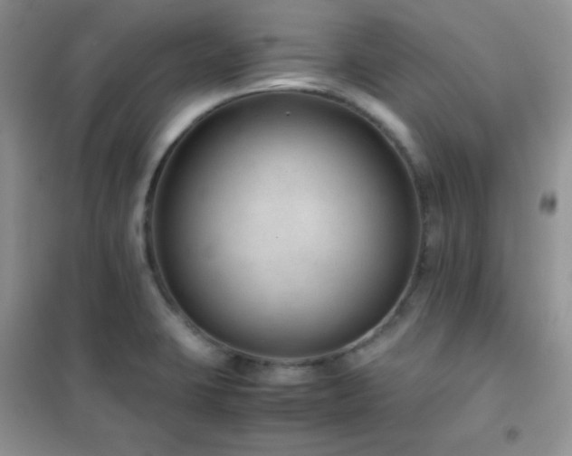 X0000102381423200808011526