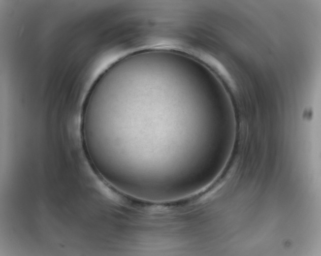 X0000102381424200808011526