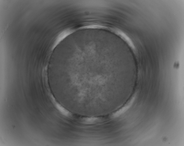 X0000102381425200808011526