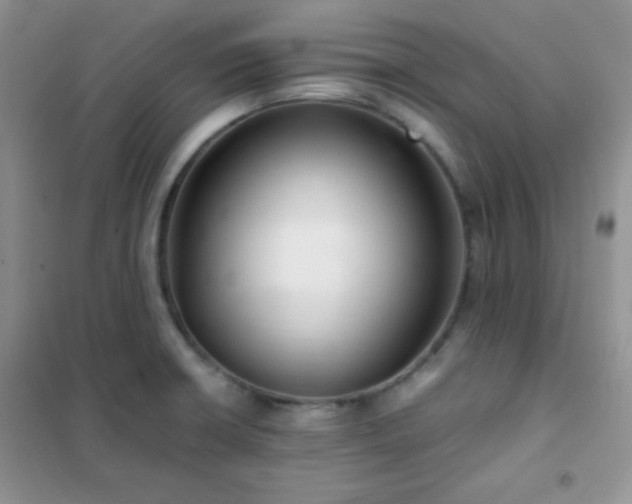 X0000102381426200808011526