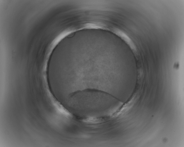 X0000102381427200808011526