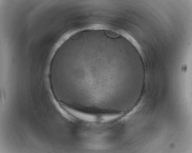 X0000102381429200808011526