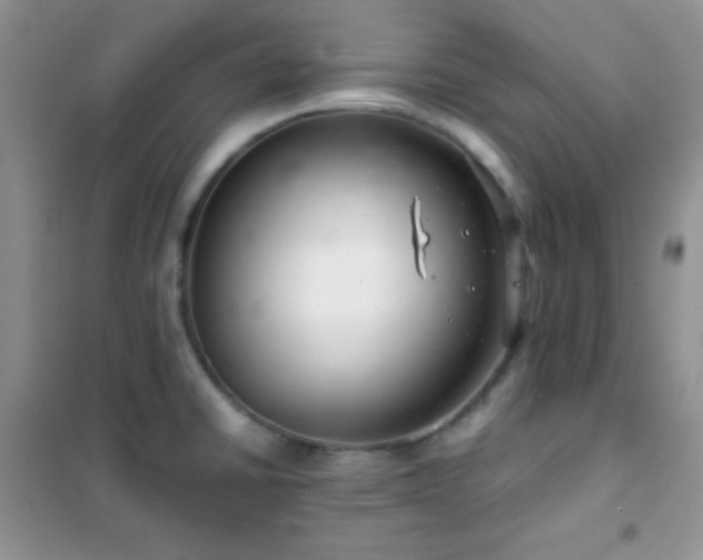 X0000102381430200808011526