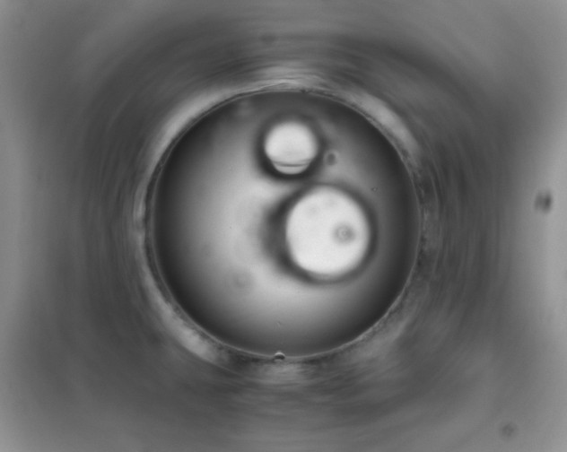 X0000102381431200808011526