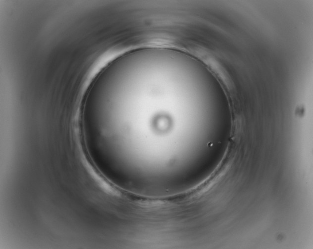 X0000102381432200808011526