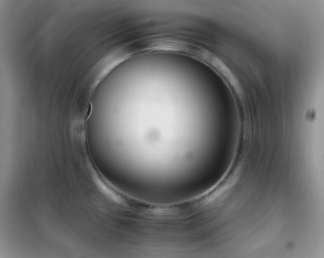 X0000102381433200808011526