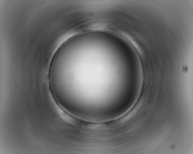 X0000102381434200808011526