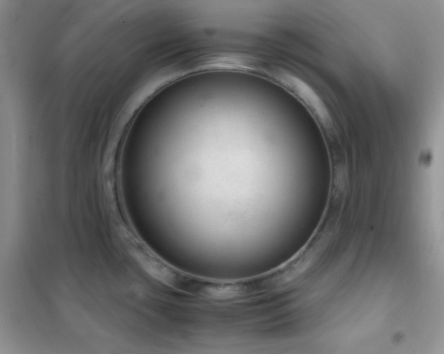 X0000102381435200808011526
