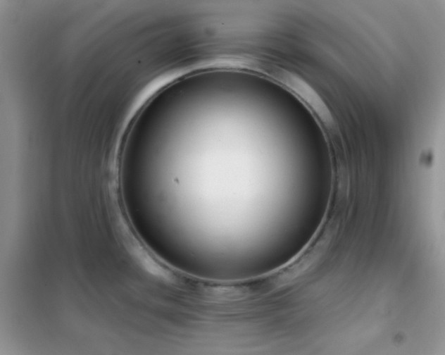 X0000102381436200808011526