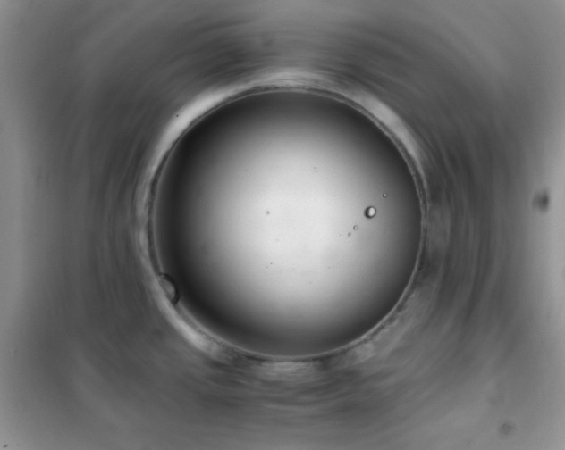 X0000102381437200808011526