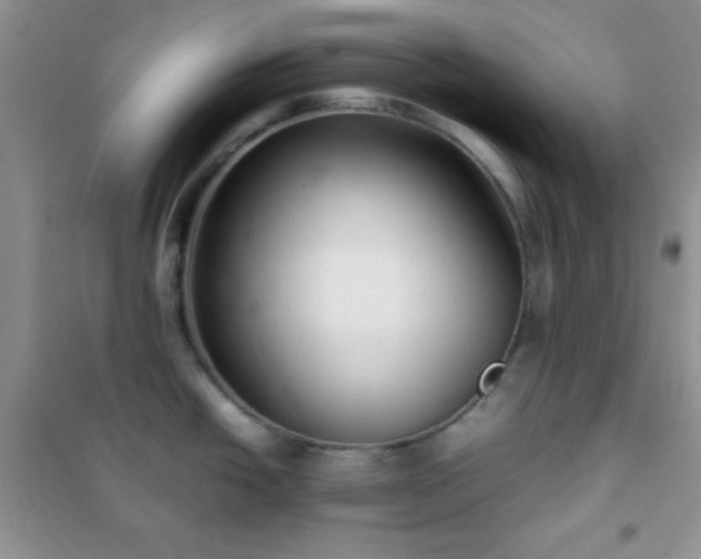 X0000102381438200808011526