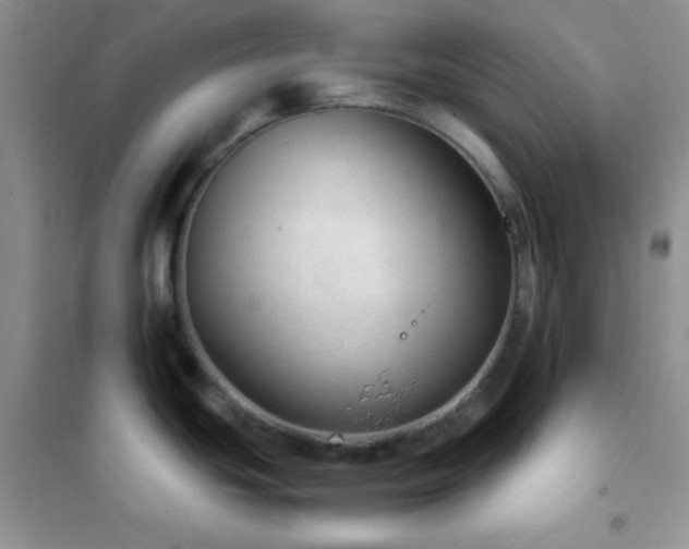 X0000102381439200808011526