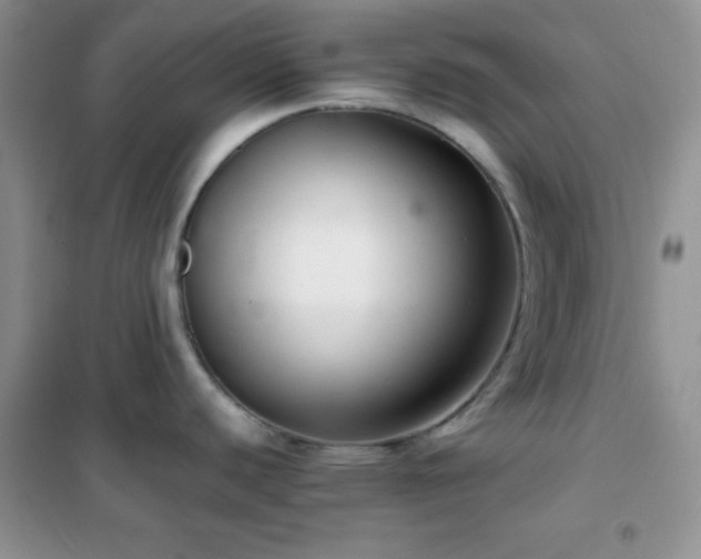 X0000102381440200808011526