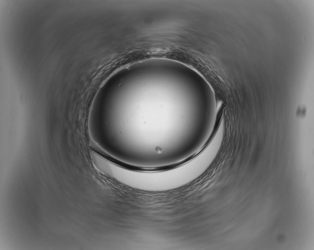 X0000102381441200808011526